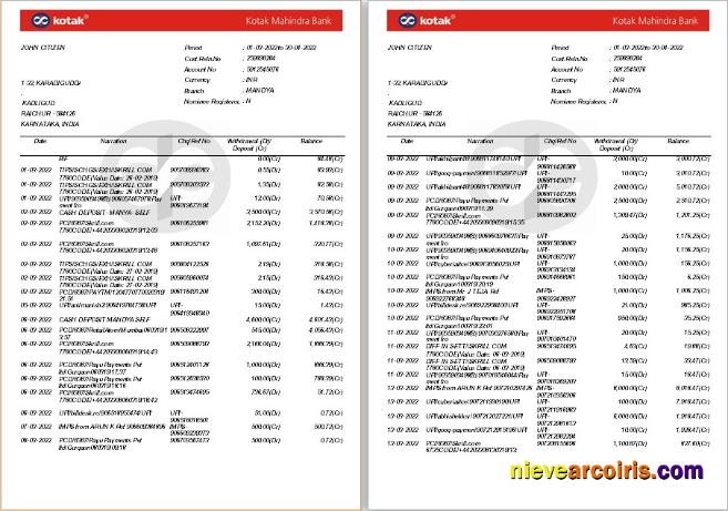 India Kotak Mahindra bank statement, Word and PDF format, 7 pages